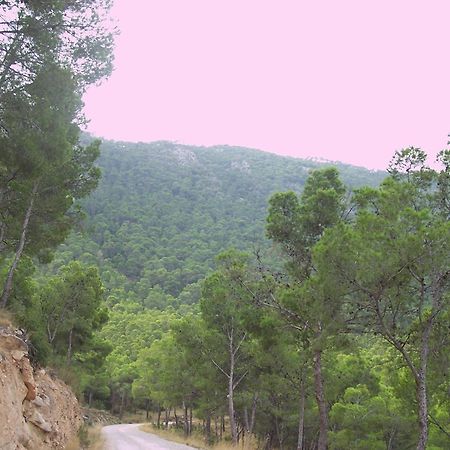 Aljibe De Monastrell Hostel Ricote Luaran gambar